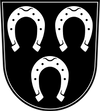 Wunschkennzeichen EISENBERG