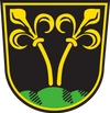 Wunschkennzeichen TRAUNSTEIN